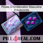 Anaconda Male Enhancement Pills 37